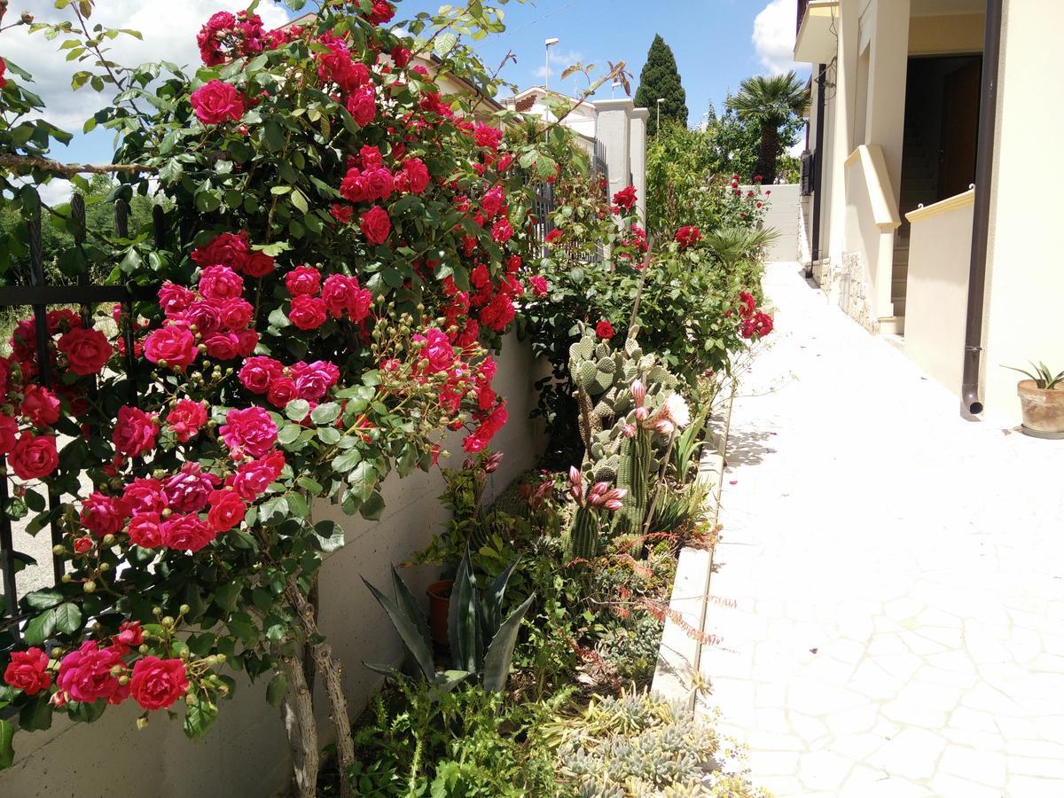 B&B Green Da Maria Matera Zewnętrze zdjęcie